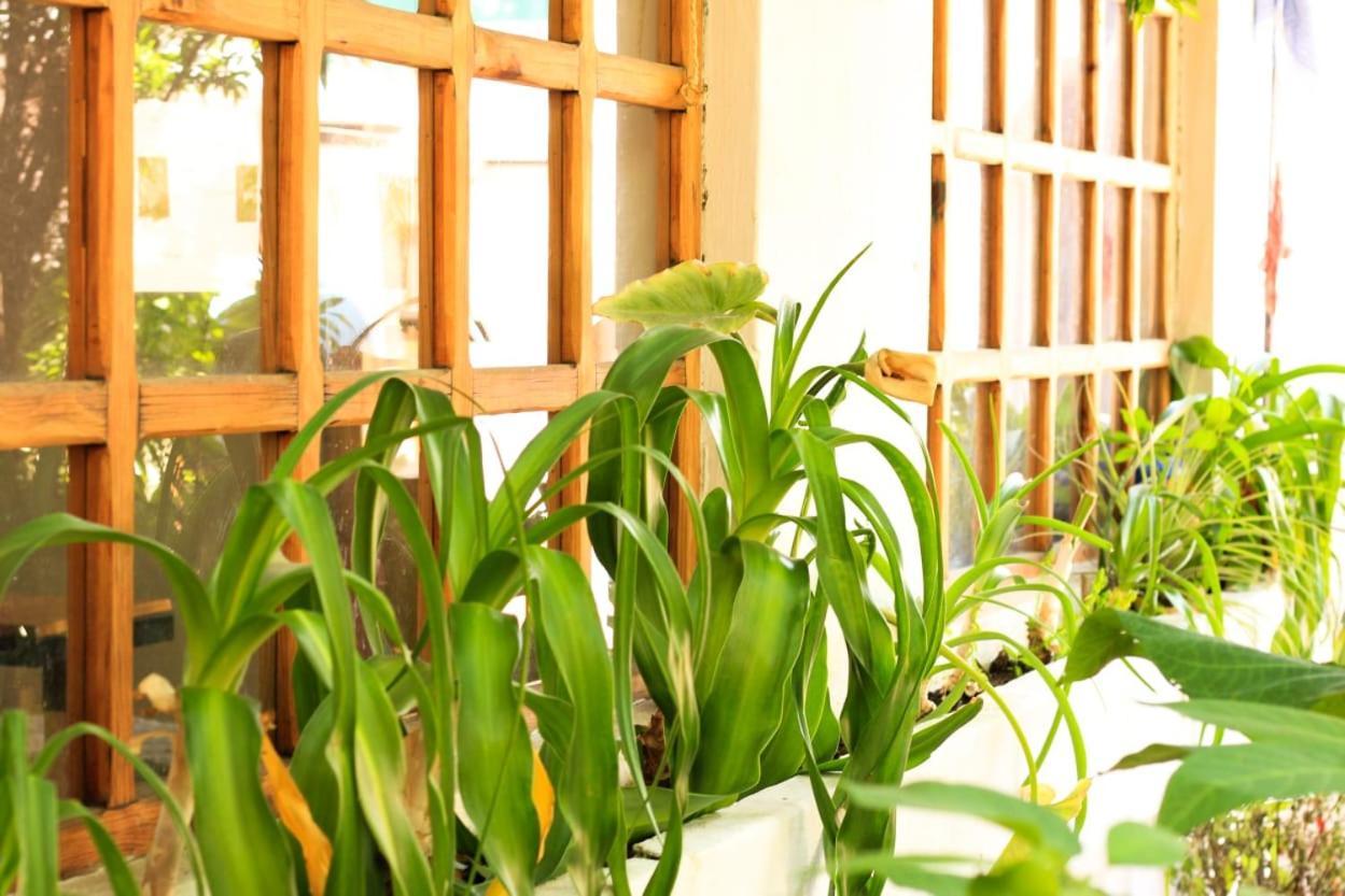 Fandango Hostel San Cristóbal de Las Casas Buitenkant foto