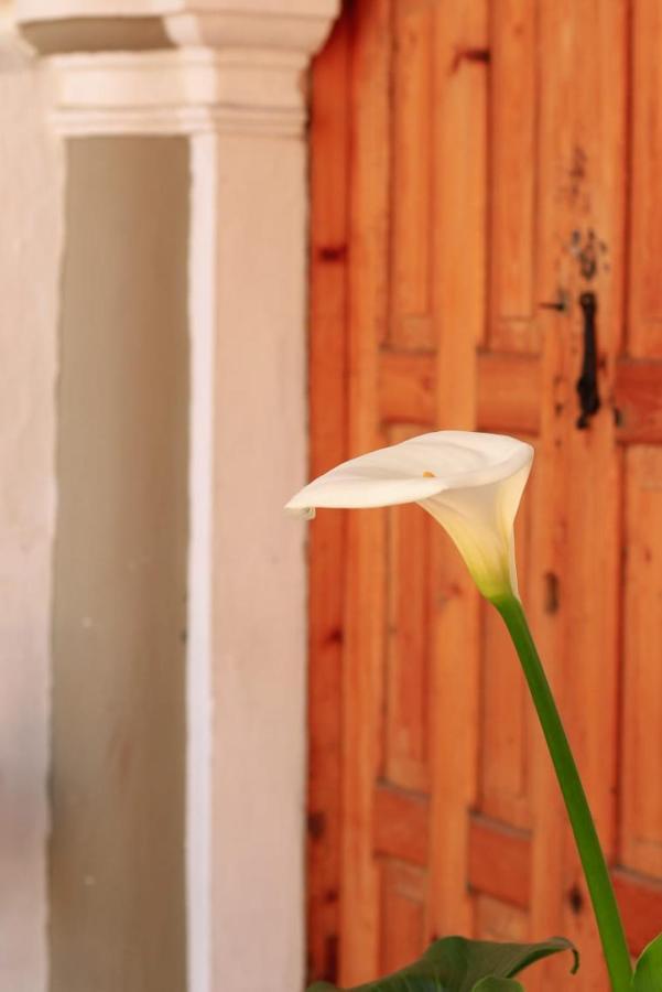 Fandango Hostel San Cristóbal de Las Casas Buitenkant foto