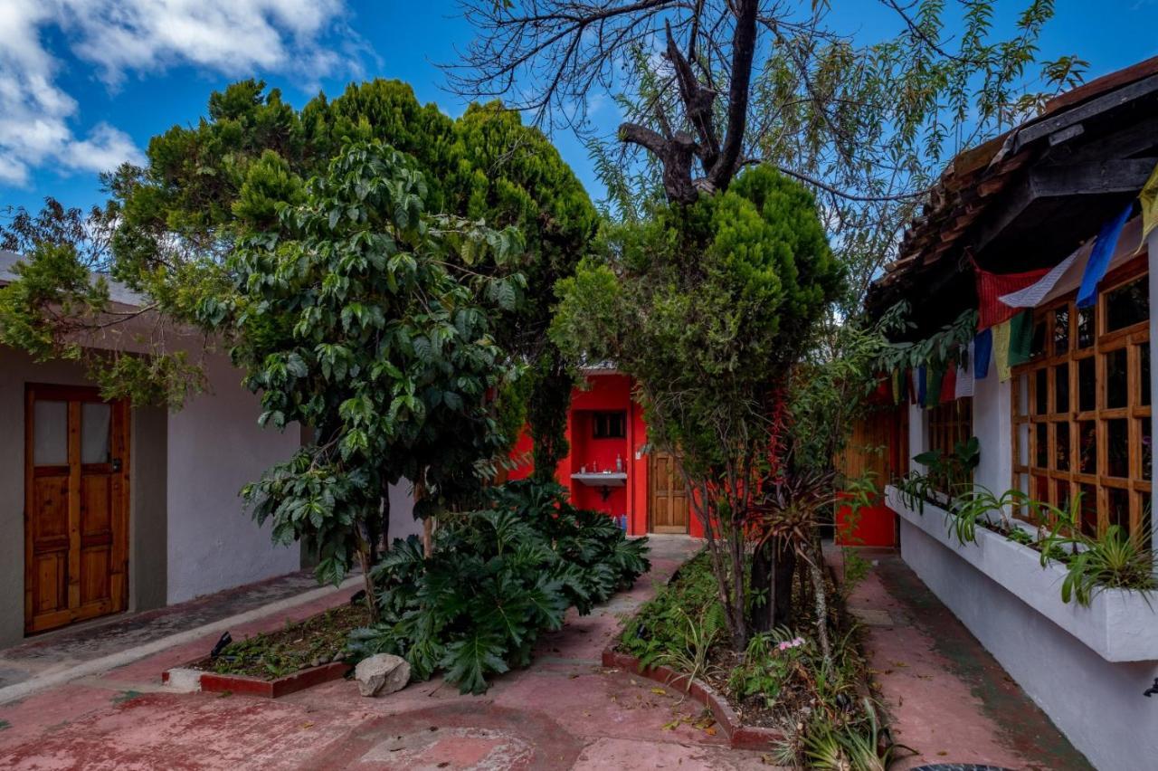Fandango Hostel San Cristóbal de Las Casas Buitenkant foto